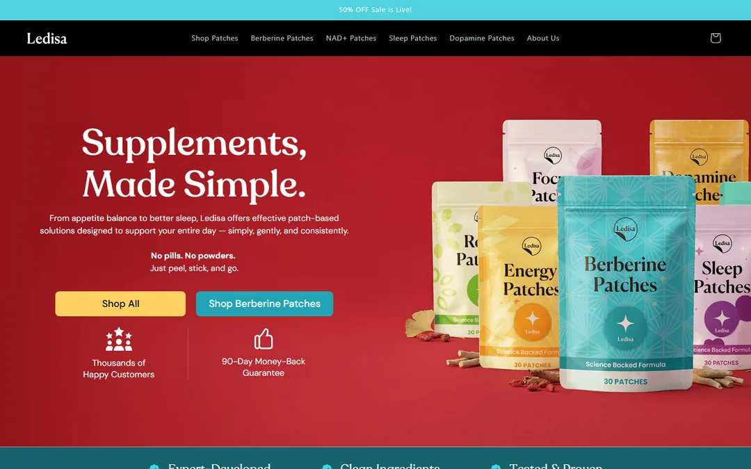 Screenshot of the Ledisa website